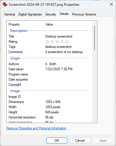 Windows 11 HEIC image properties showing EXIF metadata